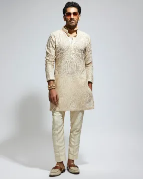 Beige Organza Embroidered Kurta Set