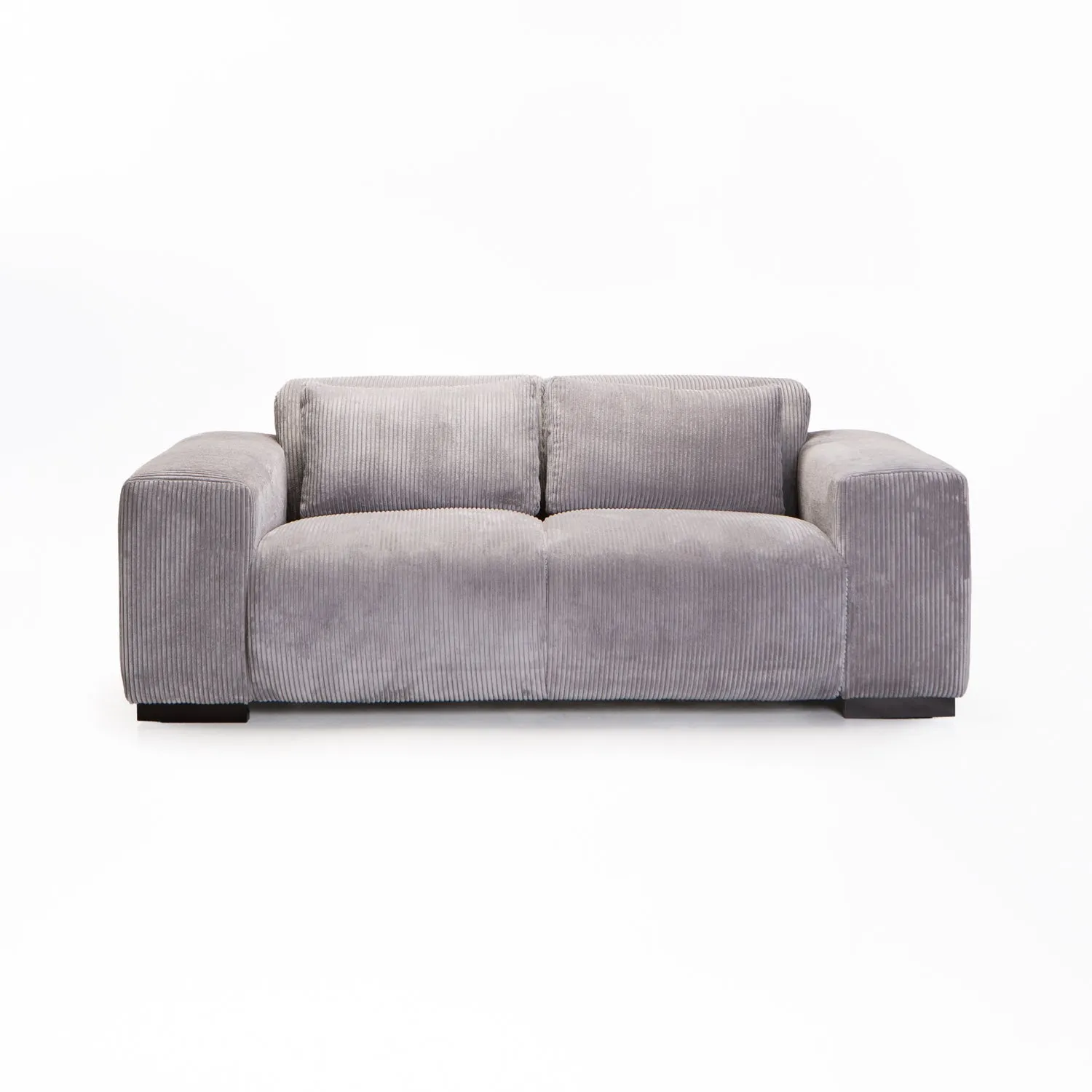 CATERINA FABRIC 2 SEATER COUCH