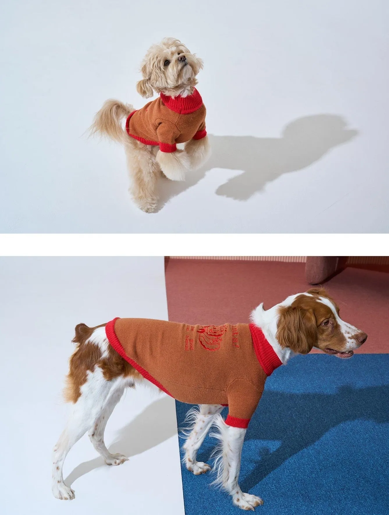 Korean Design Happy Pet Knitted Jumper for Dogs / Cats