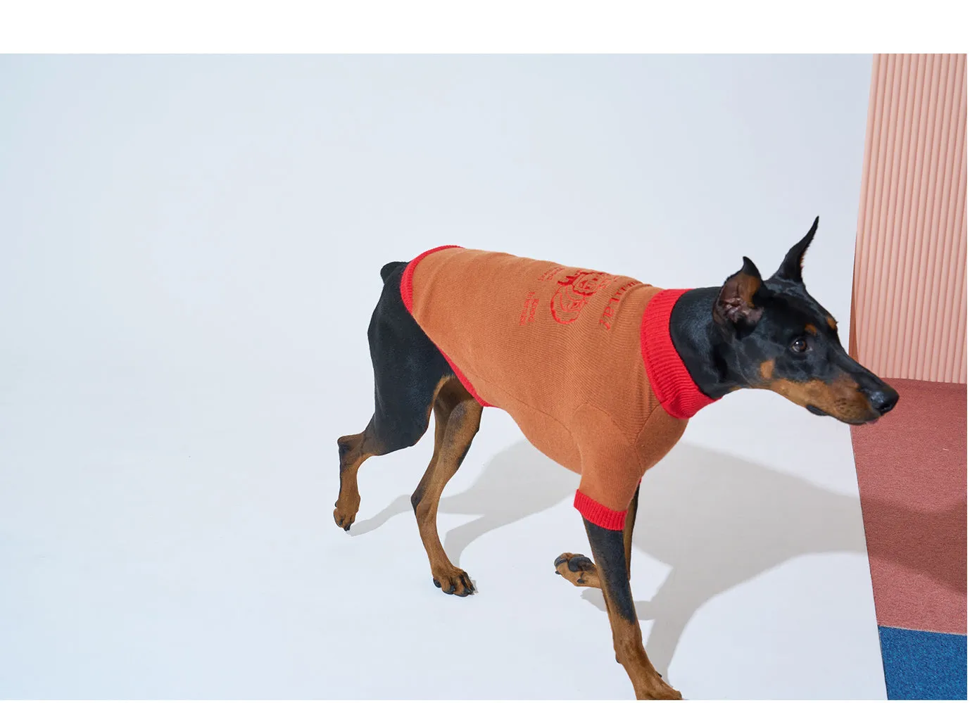 Korean Design Happy Pet Knitted Jumper for Dogs / Cats