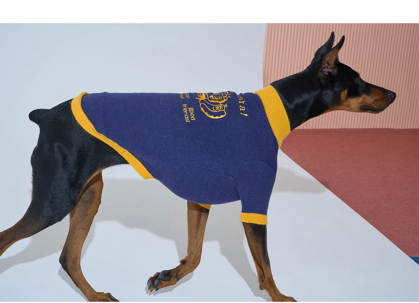 Korean Design Happy Pet Knitted Jumper for Dogs / Cats