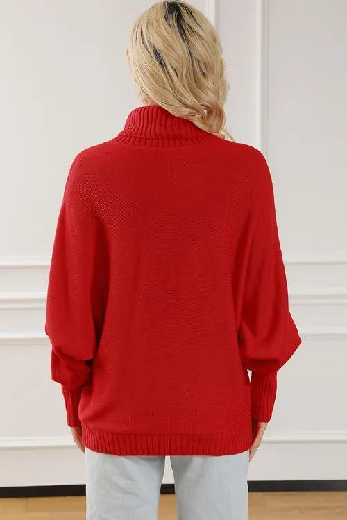 Merry Embroidered Knit Turtleneck Sweater