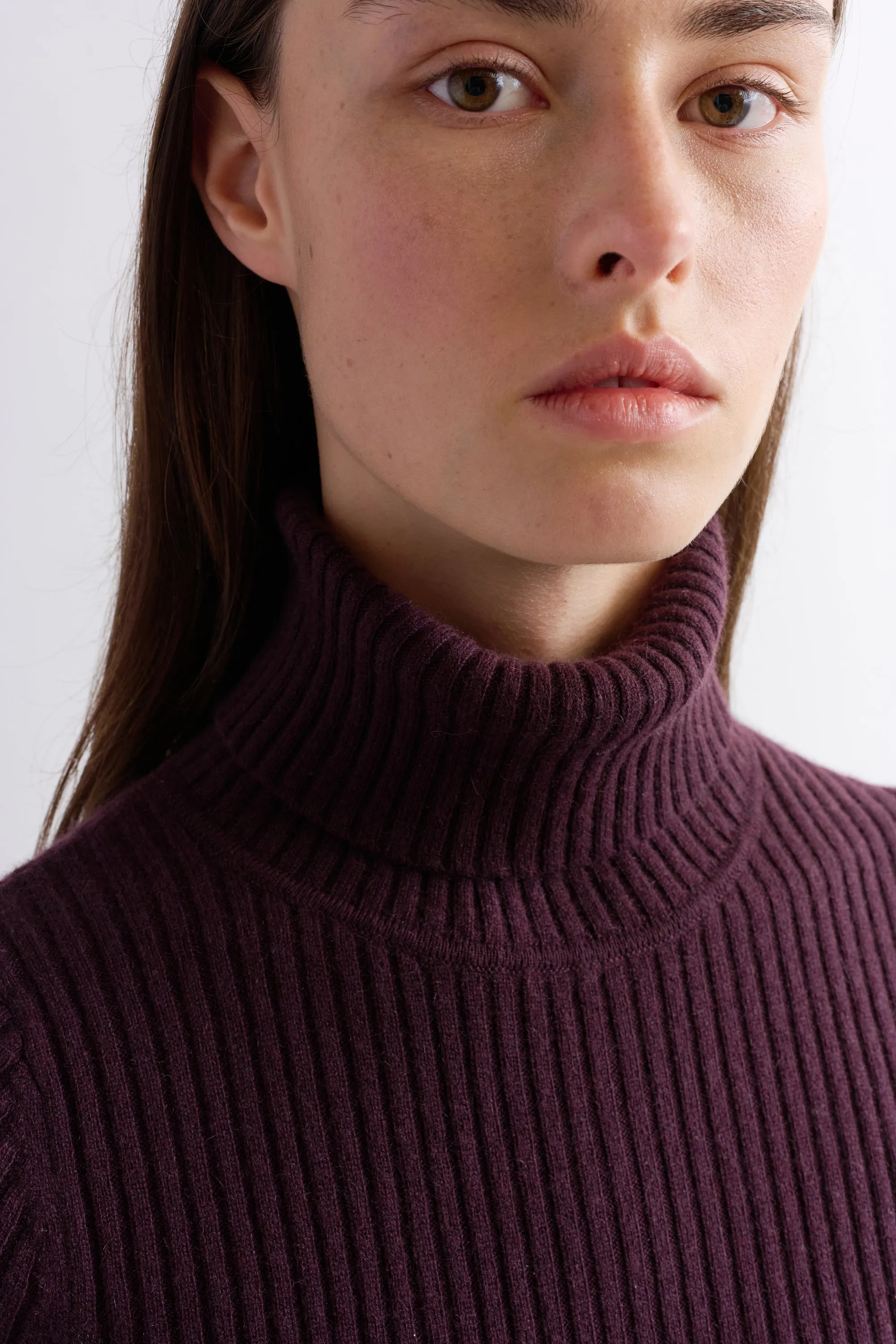 POORBOY RIB TURTLENECK DRESS