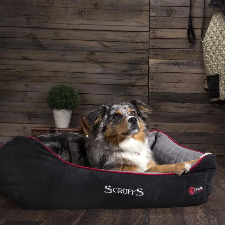 Scruffs Thermal Box Dog Bed